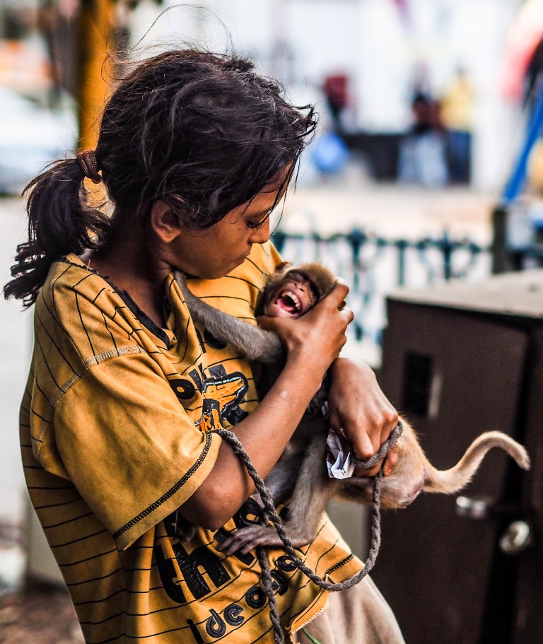 Het aapje en het meisje 